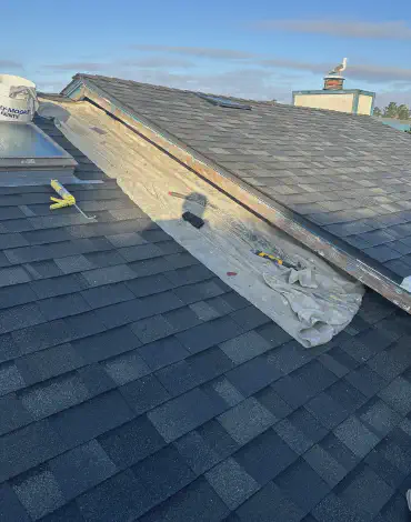 VR Painting & Decorating